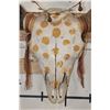 Image 5 : Painted and Embellished BUFFALO/BISON Skull