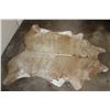 Image 2 : *Brand New* Champagne and White COW HIDE with a Brand