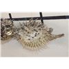 Image 5 : (2) BALLOONFISH aka "Long-spine PORCUPINE FISH" (ONE$)