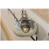 Image 3 : (3) BLUNTHEAD PUFFER FISH (ONE$)