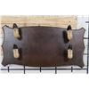 Image 1 : Unique Rack with 4 DEER Hooves on a Wooden Plaque