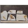 Image 1 : (5) Fish Fossil Plate Fragments, Weight: 1lb 1oz (ONE$)