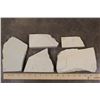 Image 7 : (5) Fish Fossil Plate Fragments, Weight: 1lb 1oz (ONE$)