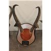 Image 4 : (3) Sets of Mounted PRONGHORNS on Wooden Plaques (ONE$)