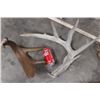 Image 5 : (8) WHITETAIL DEER Antler Sheds (ONE$)