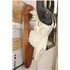 Image 4 : African Forest BUFFALO Skull on a Wooden Plaque