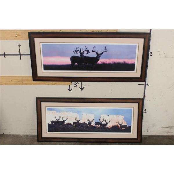 (2) Large Cabela's Edition Art Photo Prints by Robert King for King's Outdoor World 2002 (ONE$)