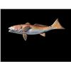 Image 3 : *New* Reproduction RED FISH Mount