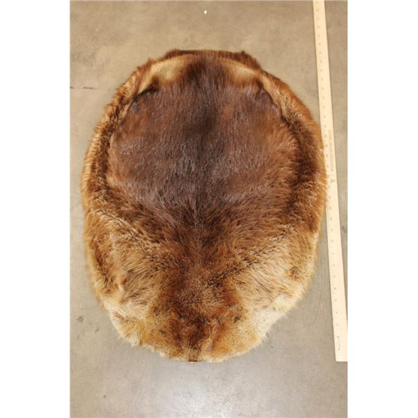 BEAVER Hide or Pelt