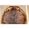 Image 3 : BEAVER Hide or Pelt