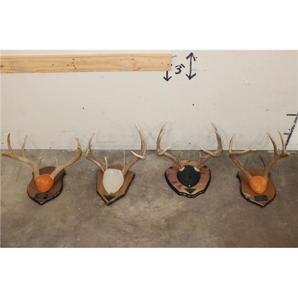 (4) WHITETAIL DEER Antler Racks on Wooden Plaques (ONE$)