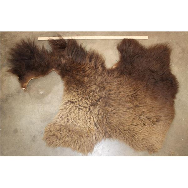 Partial BUFFALO/Bison Back Hide