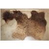 Image 1 : Partial BUFFALO/Bison Back Hide