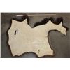 Image 2 : Partial BUFFALO/Bison Back Hide