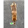 Image 1 : *New* Large Tanned COYOTE Hide