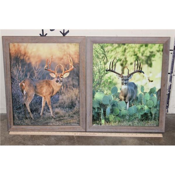(2) Dave N. Richards Photographs of Big Whitetail Bucks in Matching Frames (ONE$)