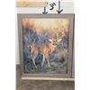 Image 2 : (2) Dave N. Richards Photographs of Big Whitetail Bucks in Matching Frames (ONE$)