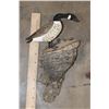 Image 2 : (1) Hand-carved and Painted Wooden GOOSE and (1) Hand-carved Wooden DUCK Shelf (ONE$)