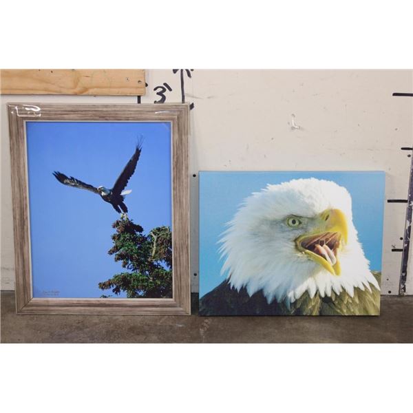 (1) Framed BALD EAGLE Photo by Dave N. Richards and (1) BALD EAGLE Canvas print (ONE$)