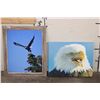 Image 1 : (1) Framed BALD EAGLE Photo by Dave N. Richards and (1) BALD EAGLE Canvas print (ONE$)