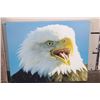 Image 5 : (1) Framed BALD EAGLE Photo by Dave N. Richards and (1) BALD EAGLE Canvas print (ONE$)