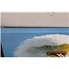 Image 6 : (1) Framed BALD EAGLE Photo by Dave N. Richards and (1) BALD EAGLE Canvas print (ONE$)