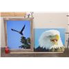 Image 7 : (1) Framed BALD EAGLE Photo by Dave N. Richards and (1) BALD EAGLE Canvas print (ONE$)