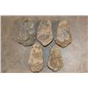 Image 5 : (5) TRILOBITE Fossil Specimens from Morocco (ONE$)
