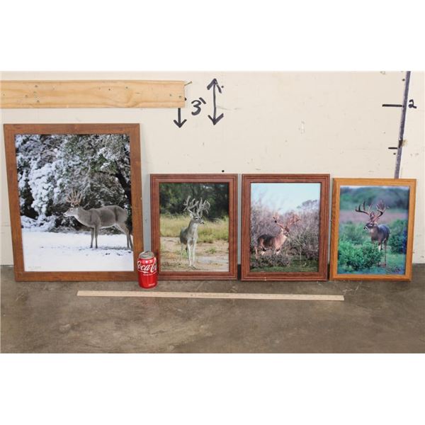 (4) Signed Dave N. Richards Photos of Whitetail Deer Bucks (ONE$)