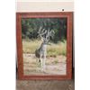 Image 5 : (4) Signed Dave N. Richards Photos of Whitetail Deer Bucks (ONE$)