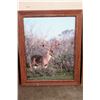 Image 7 : (4) Signed Dave N. Richards Photos of Whitetail Deer Bucks (ONE$)