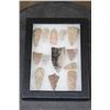 Image 2 : (13) ARROWHEADS in a Display Case with Glass (ONE$)