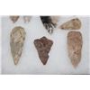Image 6 : (13) ARROWHEADS in a Display Case with Glass (ONE$)