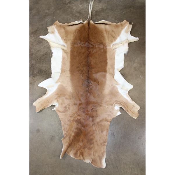 Big IMPALA Hide