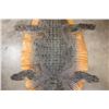 Image 5 : CROCODILE Hide with its Head, Claws, and Feet
