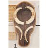 Image 1 : Big Set of WARTHOG Tusks on a Rustic Wooden Plaque