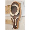 Image 2 : Big Set of WARTHOG Tusks on a Rustic Wooden Plaque
