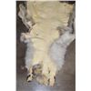 Image 4 : Partial WOLF Hide Pelt