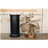 Image 1 : *Unique* "Kissing" DOE with Her 11-Point WHITETAIL DEER BUCK on a Wood Pedestal