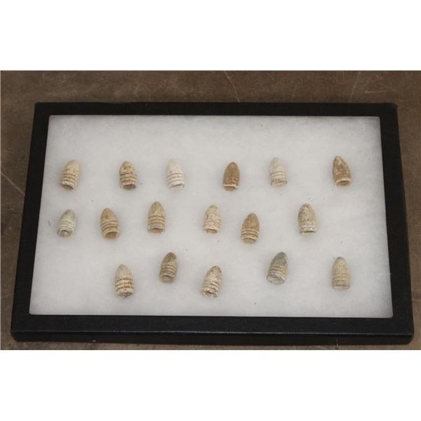(17) Civil War Era "Minie Balls" Lead Bullets in a Display Case (ONE$)
