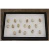 Image 1 : (17) Civil War Era "Minie Balls" Lead Bullets in a Display Case (ONE$)