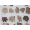 Image 5 : (30) South Texas Surface Finds Heartbreaker ARROWHEADS in a Display Case (ONE$)