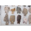 Image 6 : (30) South Texas Surface Finds Heartbreaker ARROWHEADS in a Display Case (ONE$)