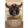 Image 2 : Big WATER BUFFALO on a Rustic Wood Pedestal with Wheels