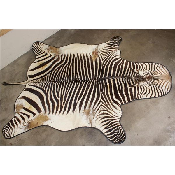 XL ZEBRA Hide Rug with a Carpet Backing and Leather Piping