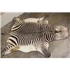 Image 1 : XL ZEBRA Hide Rug with a Carpet Backing and Leather Piping