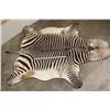 Image 2 : XL ZEBRA Hide Rug with a Carpet Backing and Leather Piping