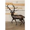 Image 1 : XXXL STAG Bronze Sculpture, Weith 75 lbs