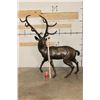 Image 2 : XXXL STAG Bronze Sculpture, Weith 75 lbs