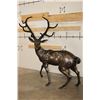 Image 3 : XXXL STAG Bronze Sculpture, Weith 75 lbs
